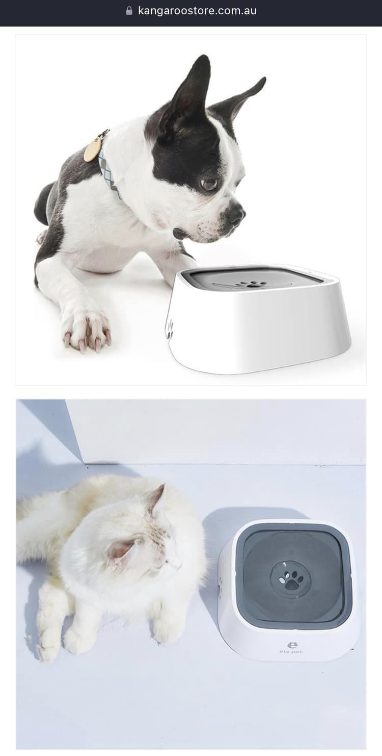 Spill Proof Pet Water Bowl